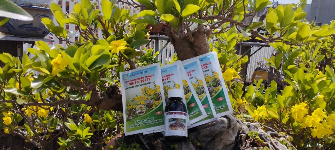 SỬ DỤNG NPK 30.10.10 TE BÓN LÁ NHƯ THẾ NÀO CHO HIỆU QUẢ